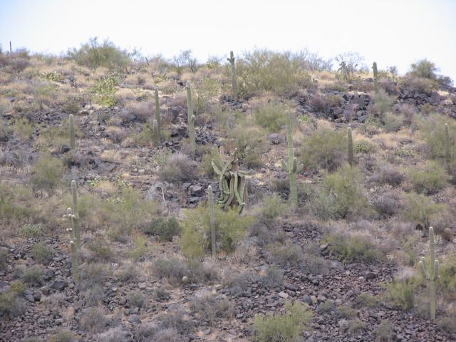 SUPERSTITION%20MOUNTAINS%20001.jpg