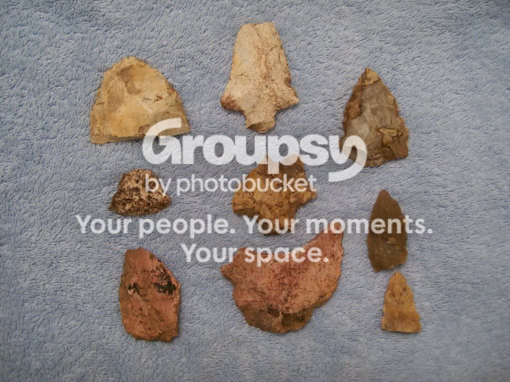 100_4875.jpg