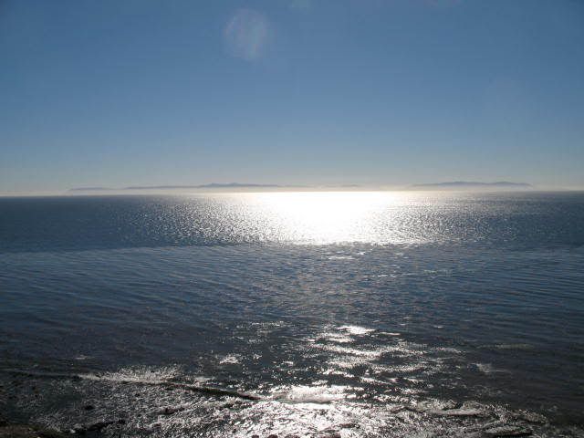 IMG_1202.jpg