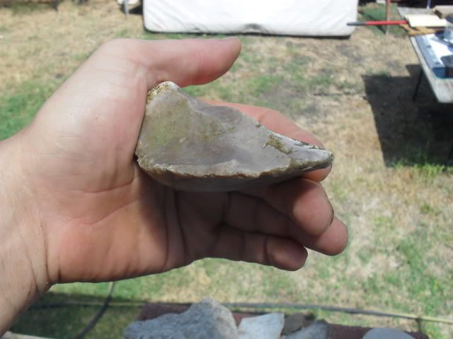 SDC10504.jpg
