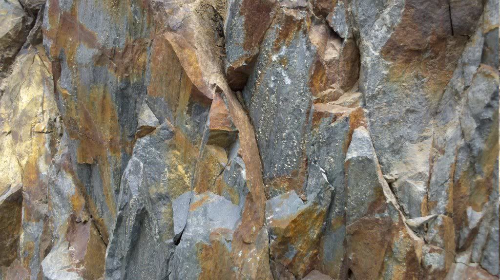0b8e0578.jpg