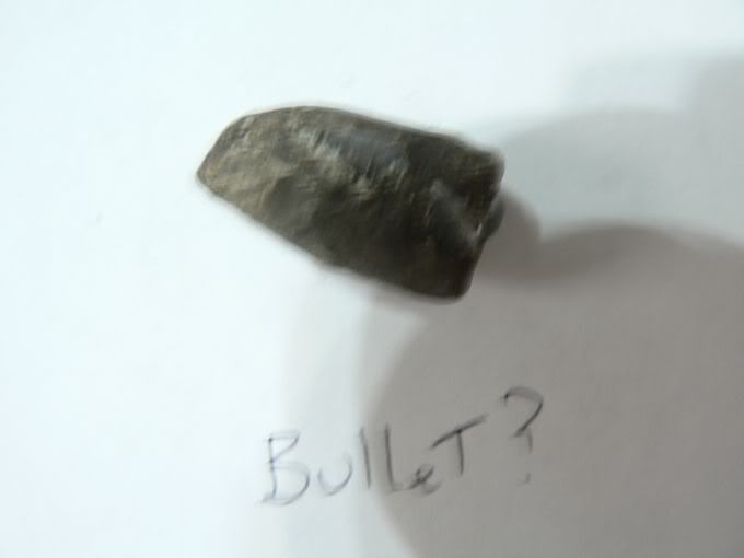 Bullet8_16_09.jpg