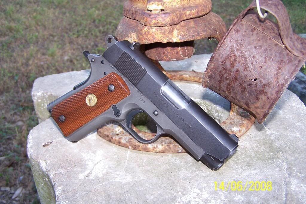 Colt004.jpg