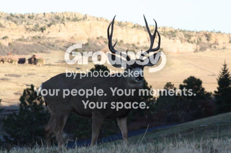 Basic4pt_Nov21_2012_CO_zps7fce8a27.jpg