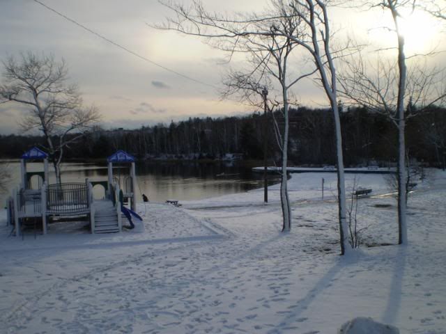 P5010008.jpg