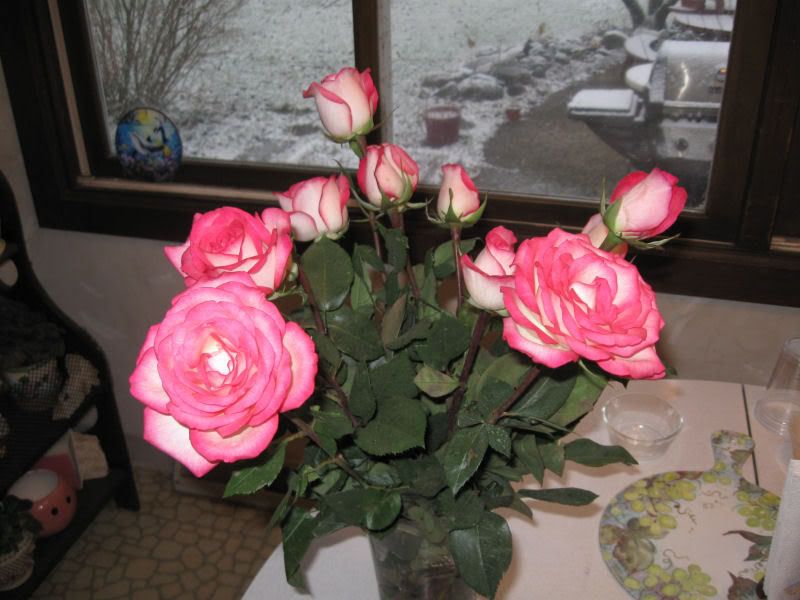 Roses.jpg