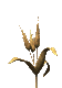 grain.gif