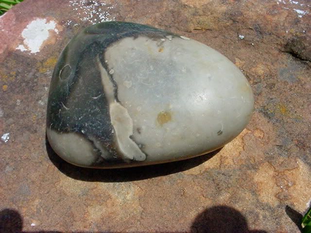DSC00620.jpg