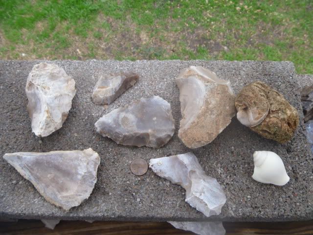 P1010591.jpg