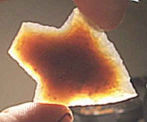 100_1003-2.jpg
