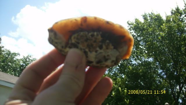 DSCI0871.jpg