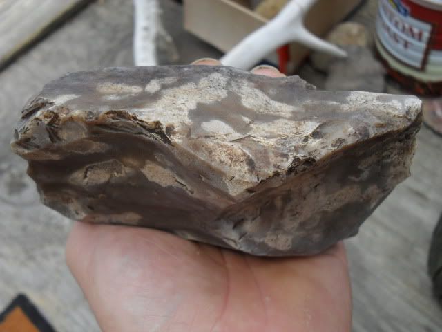 SDC10150.jpg