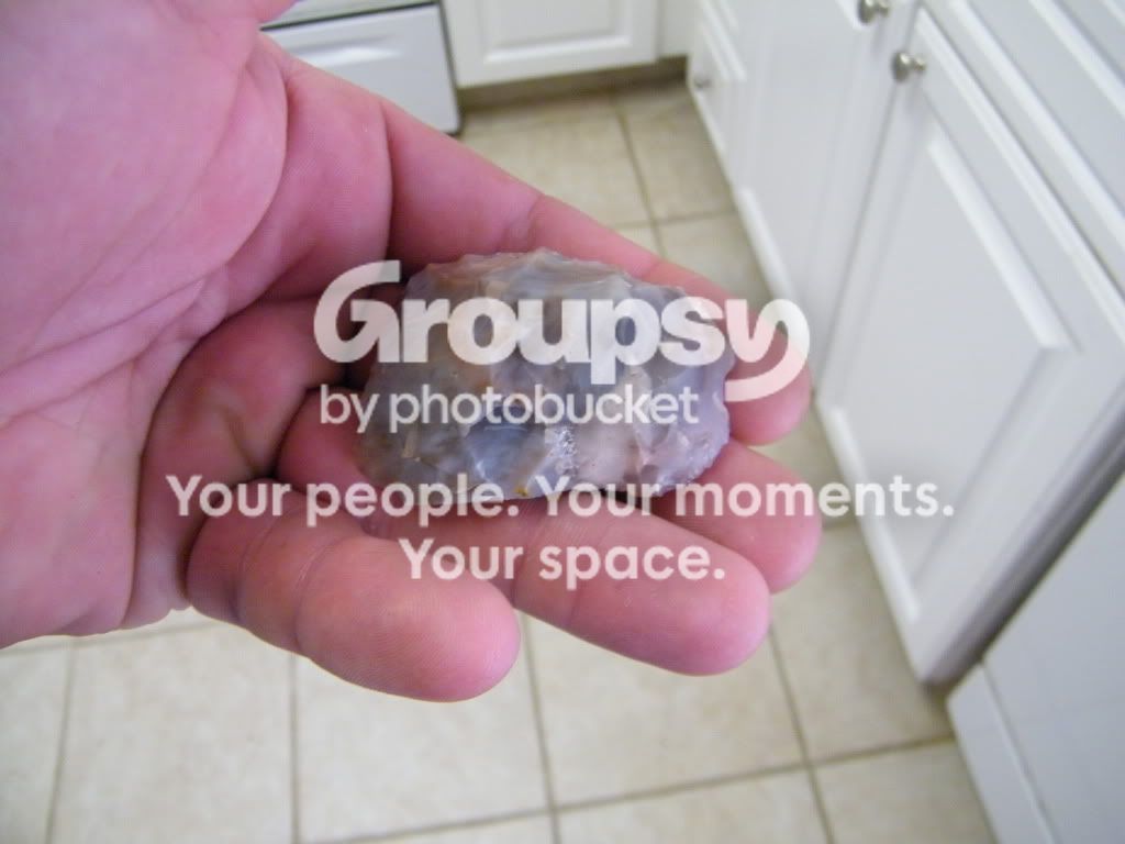DSCF2531.jpg