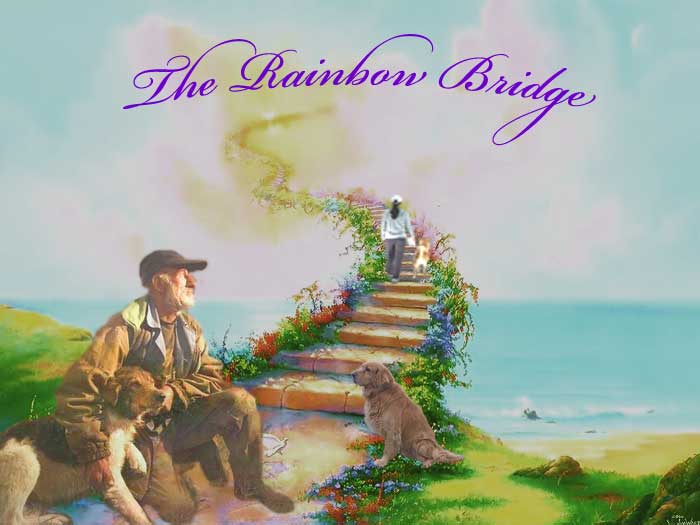 rbridge_700W.jpg