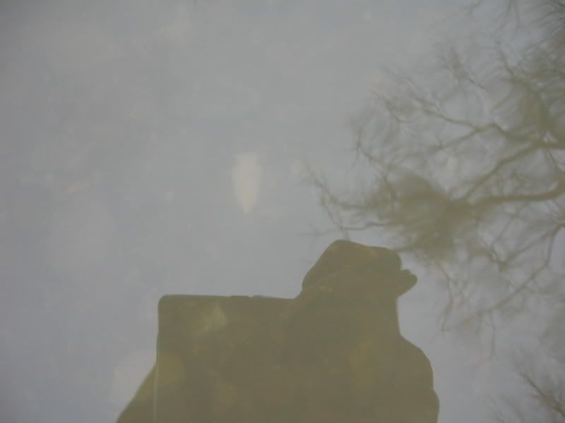 Arrowheads1-29-2010004.jpg
