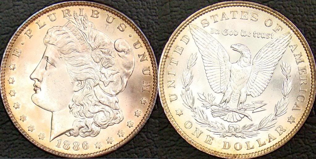 1886PMS64.jpg