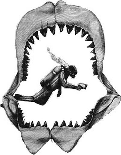 fishmouth.jpg