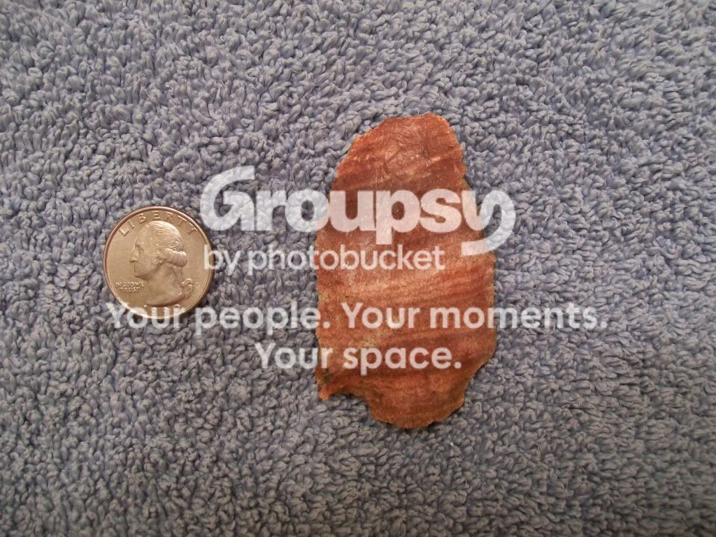 100_5109.jpg