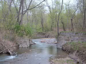 Dscf9910_300x225.jpg