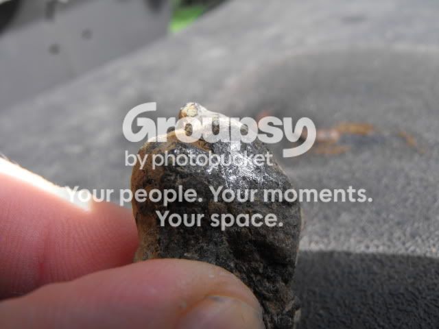 DSCF0382.jpg