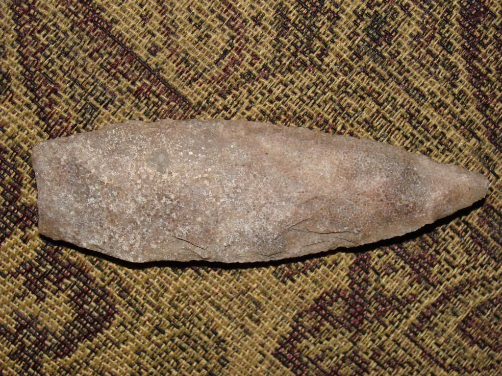 DSC00812.jpg