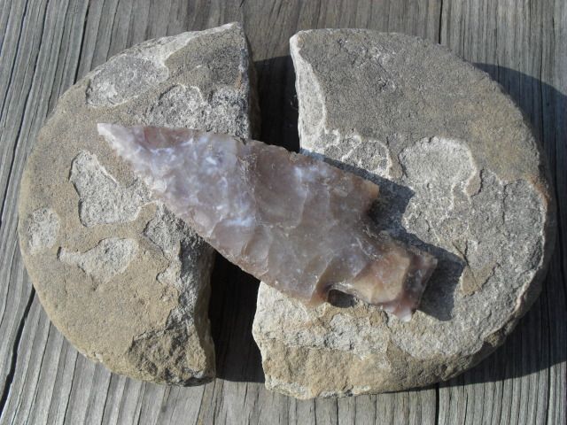 SDC10236.jpg