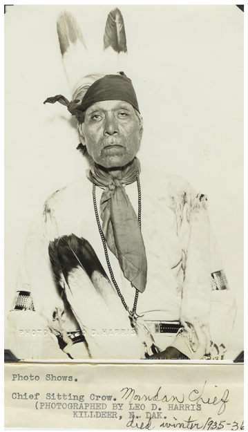 biog306-sitting-crow.png