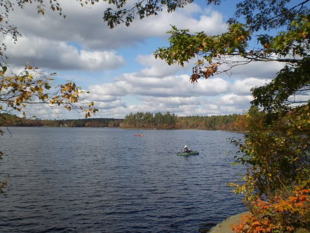 P3310001.jpg