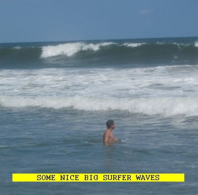 9187.jpg