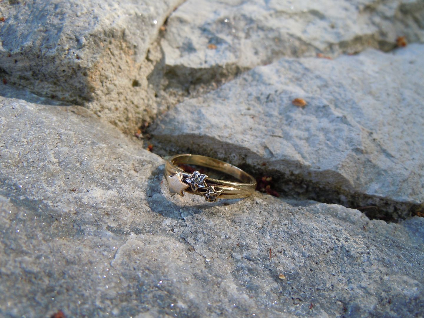 DSCN1261.jpg