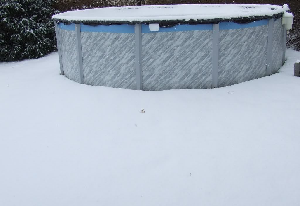 snow003.jpg