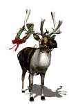 animated-reindeer-spinning-wreath-on-antlers.gif