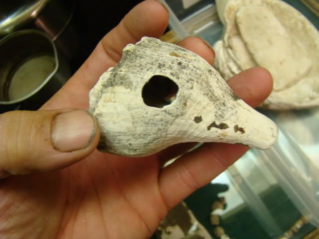 DSC02055-1.jpg