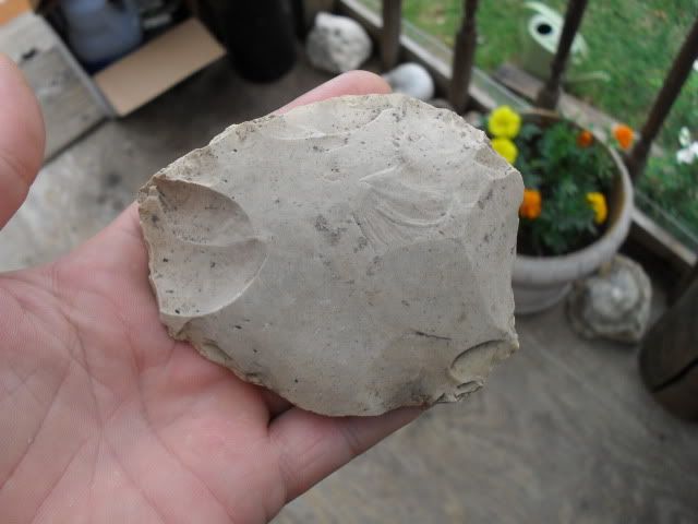 SDC10778.jpg