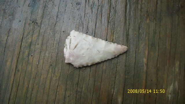DSCI0810.jpg