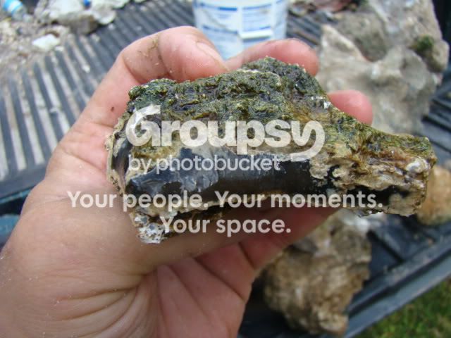 DSC01275.jpg