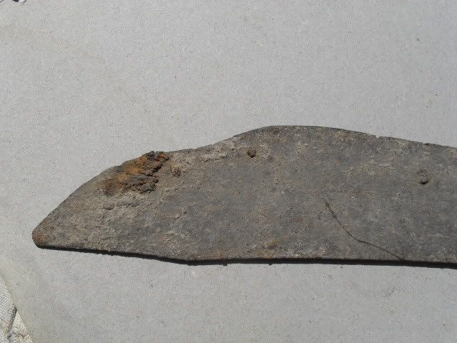 SDC10743.jpg