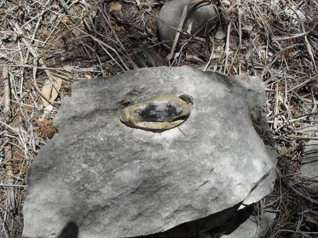 SDC10017.jpg