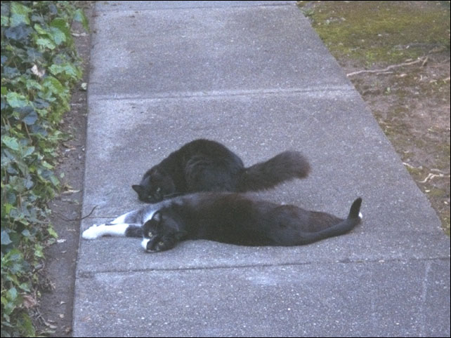 post_spud_intern.jpg