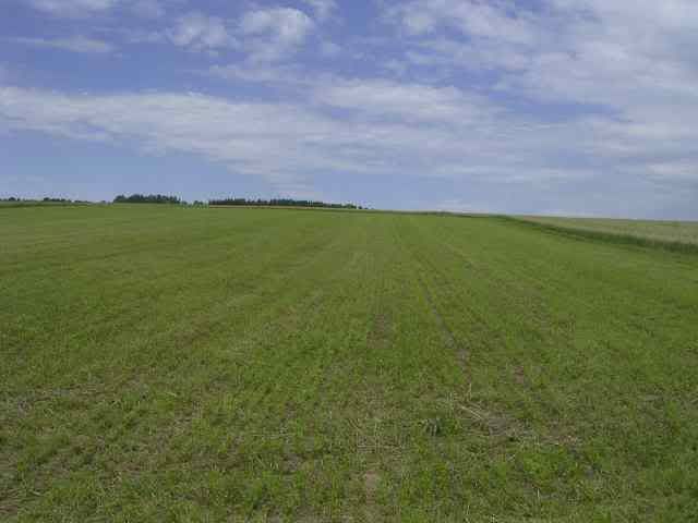 10Jul11Field.jpg