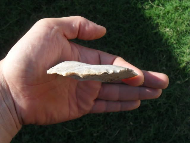 SDC10364.jpg