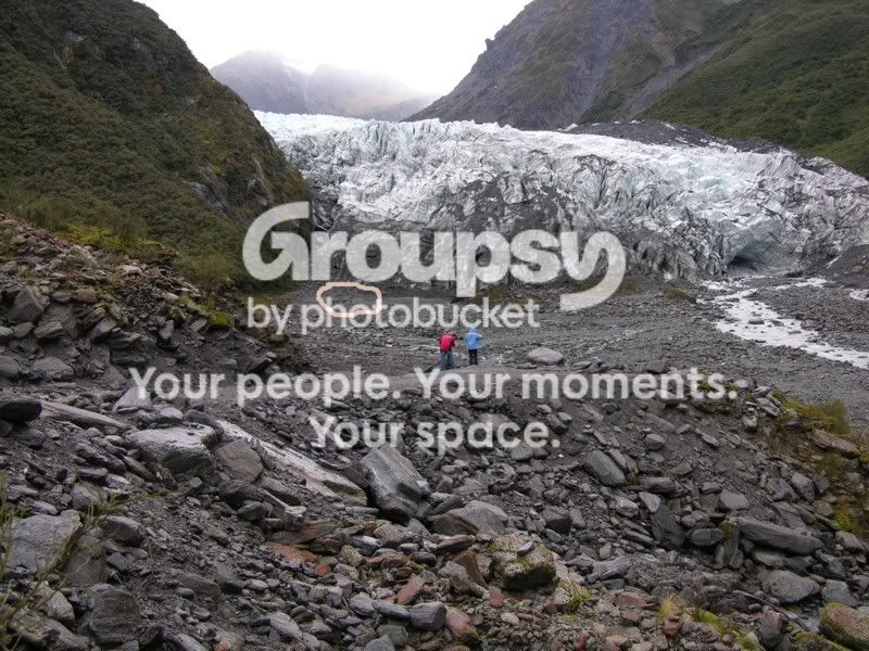 FoxGlacier_.jpg