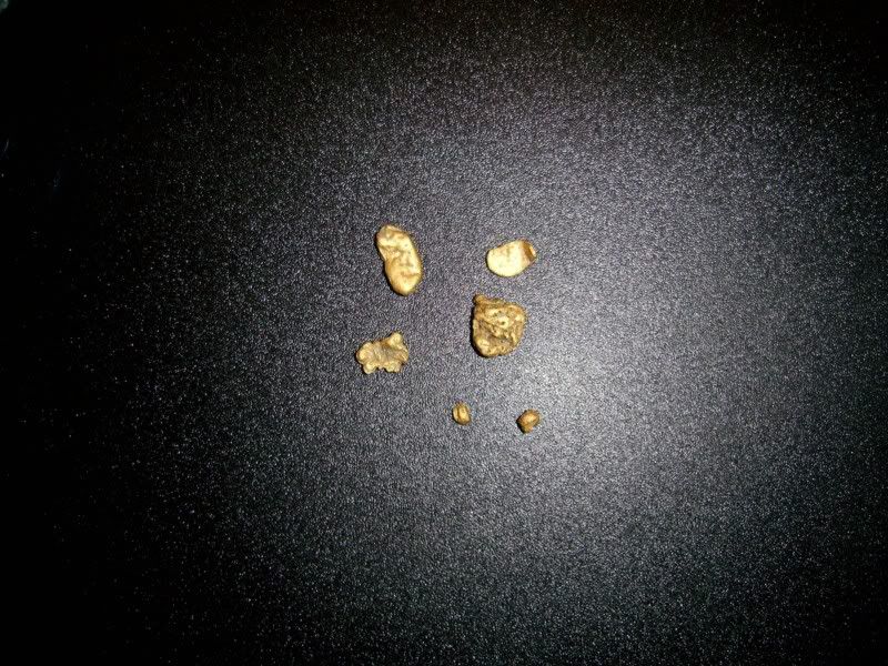 NewChumsgold.jpg