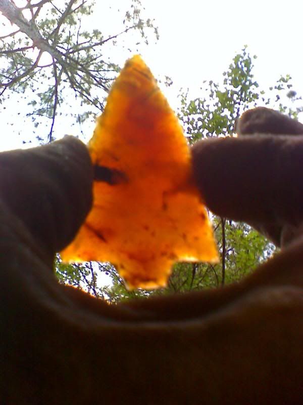 imagejpeg952-2.jpg