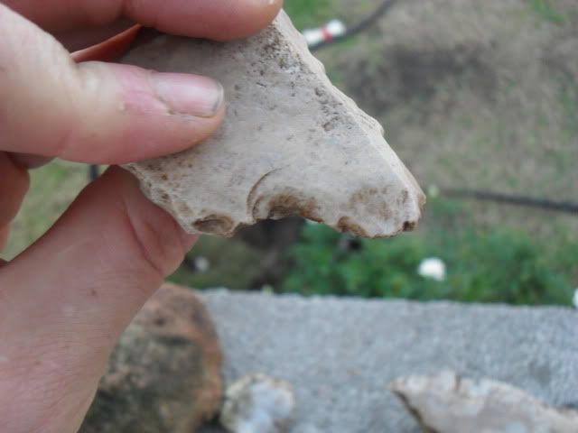 SDC10073.jpg