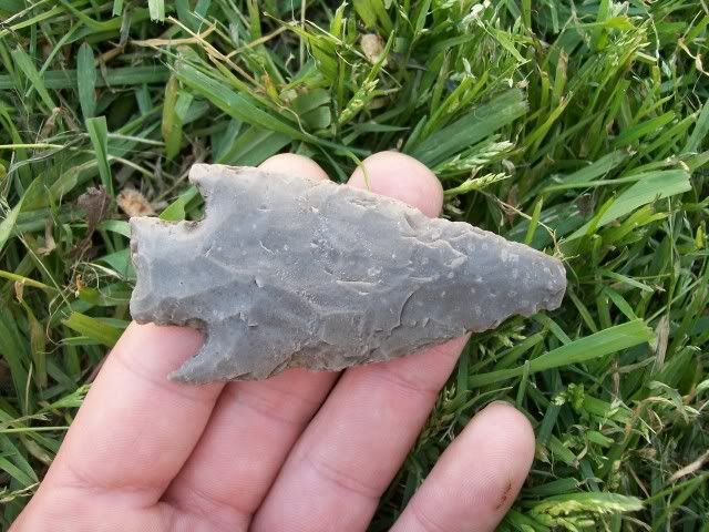 100_0701.jpg