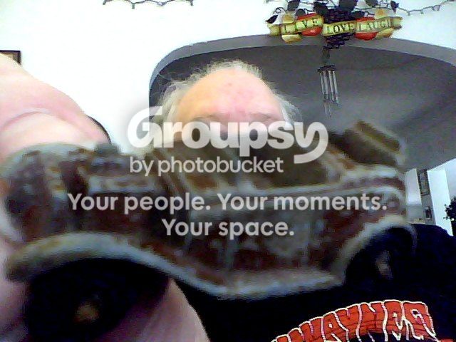 Snapshot_20120129.jpg
