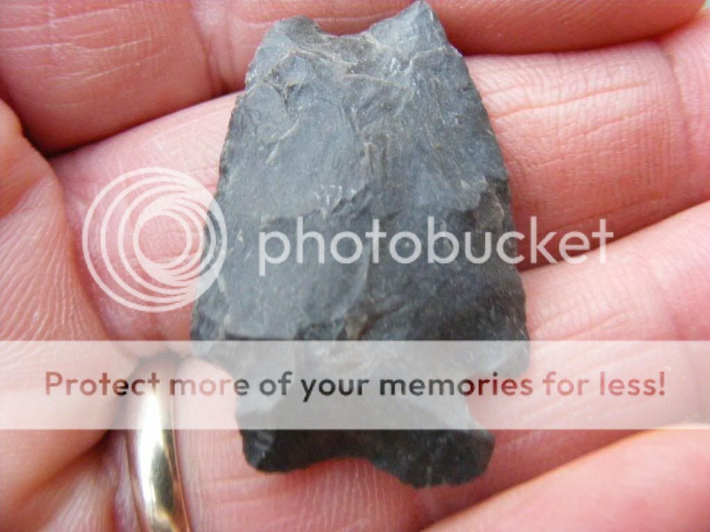 2009_0212febheads0016.jpg