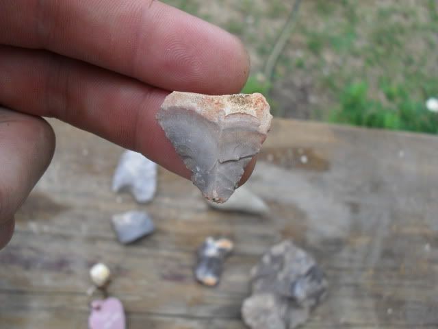 SDC17320.jpg