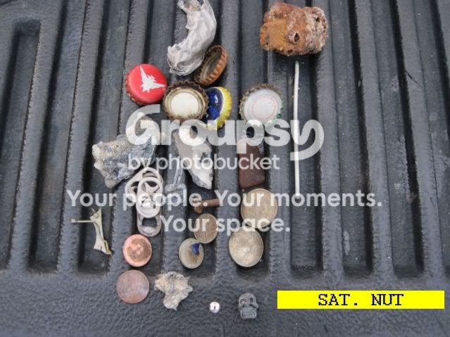 NUT2.jpg